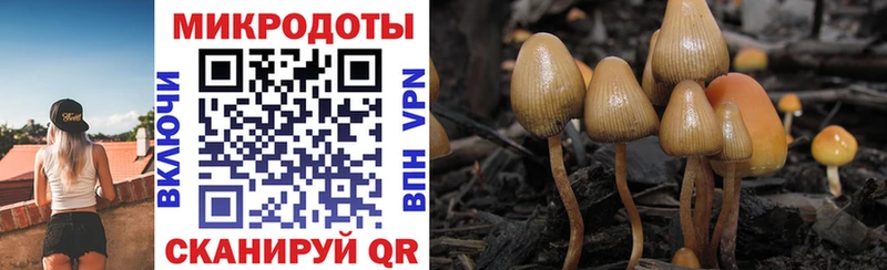 Псилоцибиновые грибы Magic Shrooms  Суоярви 